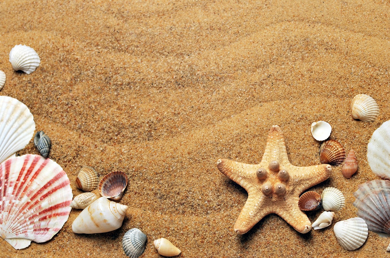 Micro-watching and Staycation: The Spontaneous, Local Tourism Trend