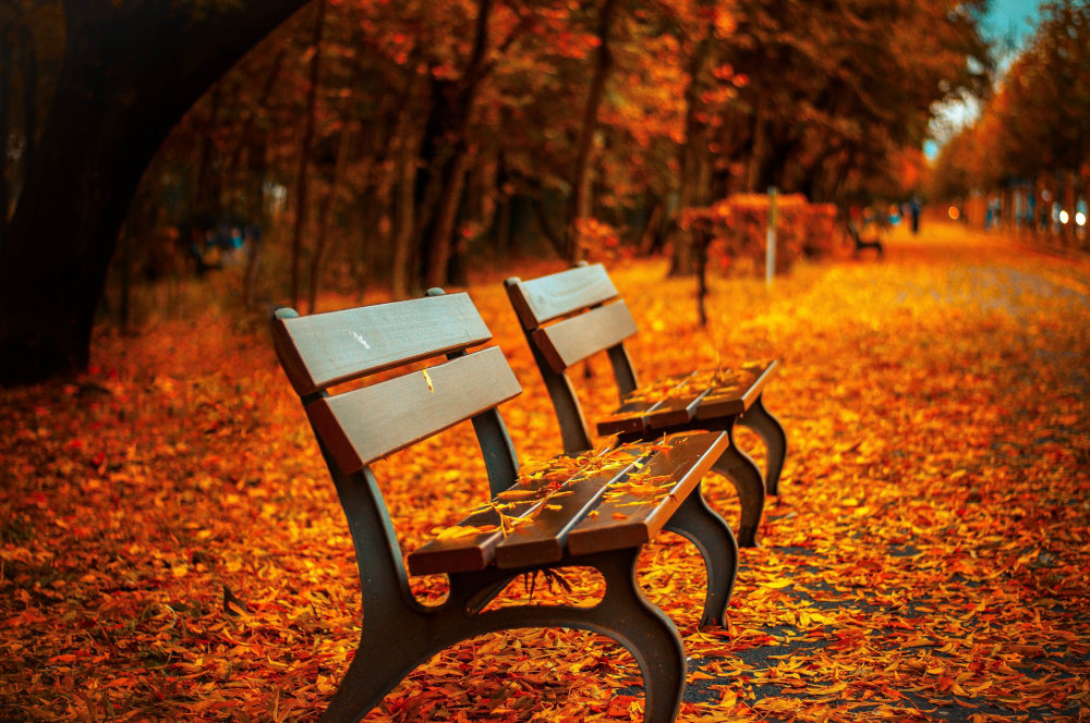 Art cities in autumn: the hidden benefits of booking a room when everyone thinks it’s too late