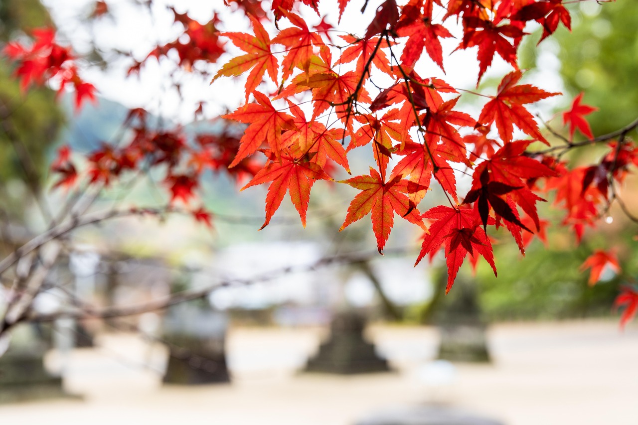 A "zero-mile" autumn getaway: why unplanned trips reduce stress more effectively than long vacations